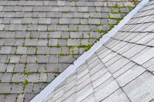 4 Special Considerations of Low-Slope Roofing