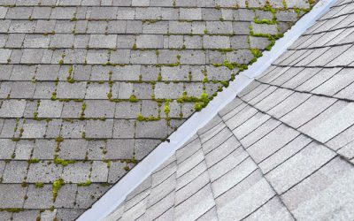 4 Special Considerations of Low-Slope Roofing