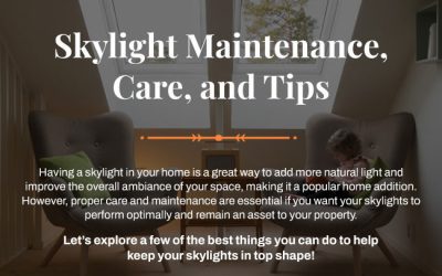 Skylight Maintenance, Care, and Tips [infographic]