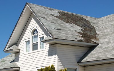 Residential Roofing: How to Get the Most Out of Your Insurance Claim